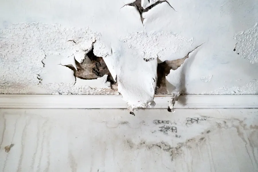 Roof Leak Water Damage in Agoura Hills, CA