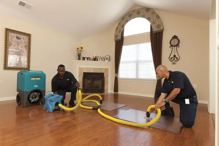 Water Extraction and Removal in Agoura Hills, CA